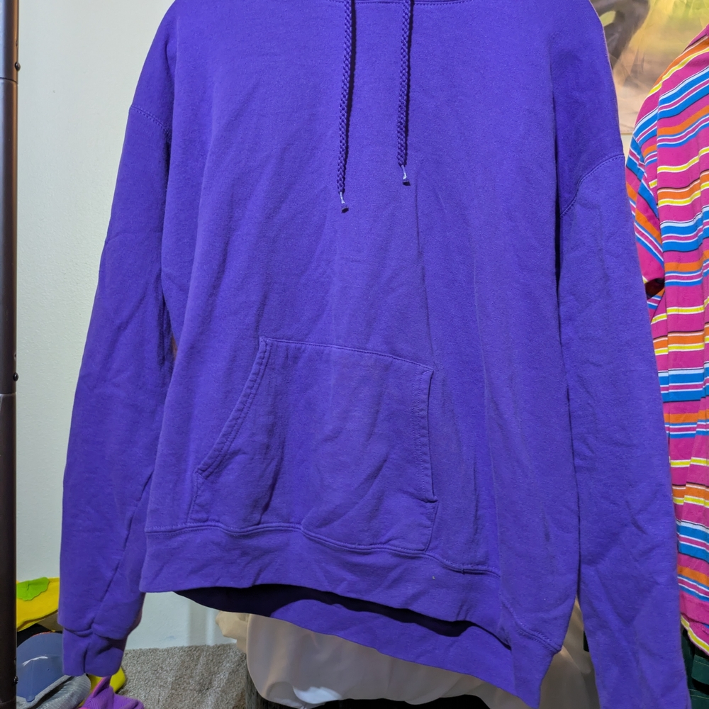 Hanes Men's Purple Hoodie Sweater